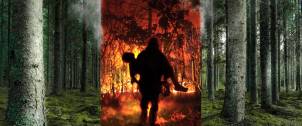 Environmental Emergencies