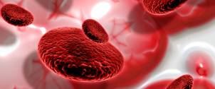 Hematology and Oncology for the Pediatrician