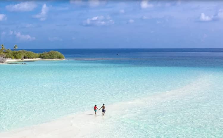 Maldives LiveAboard CME Adventure Course 2028
