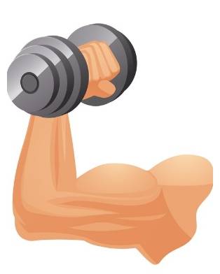 Ergogenic Aids for Performance and How to Obtain Them From Food