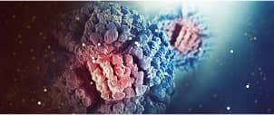 Genetic Predisposition for Breast Cancer & Management of BRCA1/2 Mutation Carriers