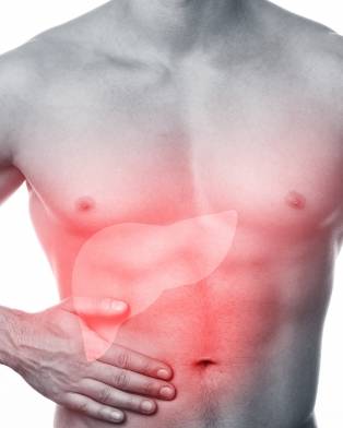 Liver Transplant Nursing Care