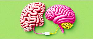 Gut–Brain Axis, Microbiome & Mental Health