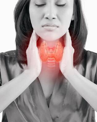 Internal Medicine and Endocrinology: A Practical Approach - In-person Event
