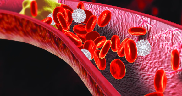Anticoagulants - Safe Administration and Monitoring