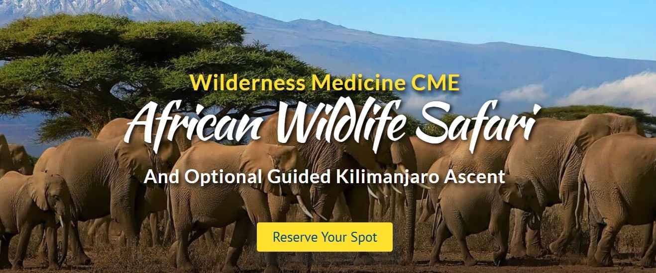 Wilderness Medicine CME: African Wildlife Safari and Optional Guided Kilimanjaro Ascent (Sep 21 - Oct 05, 2027)