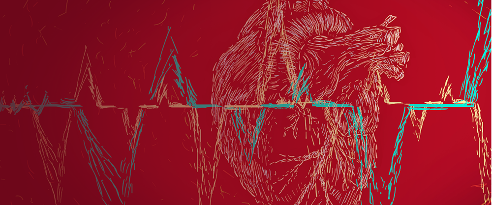 7th Annual Heart of Cardiology