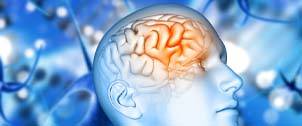 Promotion of Dementia and Alzheimer's Disease Resilience