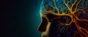Neurodevelopmental Disorders and Rett Syndrome: An Update from the 2025 ANS Meeting
