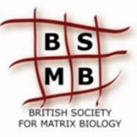 British Society for Matrix Biology (BSMB)