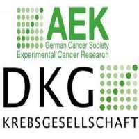 Department of Experimental Cancer Research / Abteilung Experimentelle Krebsforschung (AEK)