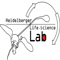 Heidelberger Life-Science Lab