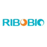 Guangzhou RiboBio Co. Ltd