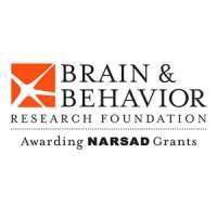 Brain & Behavior Research Foundation (BBRF)