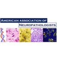 American Association of Neuropathologists (AANP)