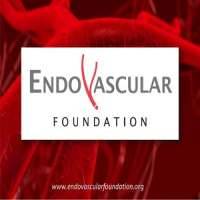 Endovascular Foundation