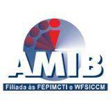 Associate the medicine intensive brazil (AMIB)