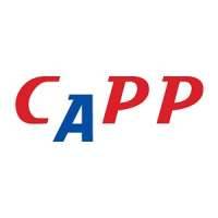 Centre for Advanced Professional Practices (CAPP)