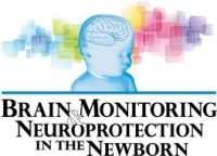 Brain Monitoring and Neuroprotection in the Newborn