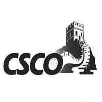 Chinese Society of Clinical Oncology (CSCO)