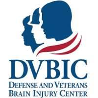 Defense and Veterans Brain Injury Center (DVBIC)