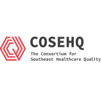 Consortium for Southeast Healthcare Quality (COSEHQ)