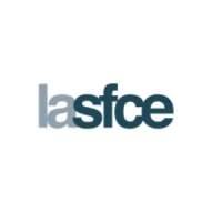 French Society of Endoscopic Surgery / Societe Francaise de Chirurgie Endoscopique (SFCE)
