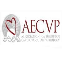 Association for European Cardiovascular Pathology (AECVP)