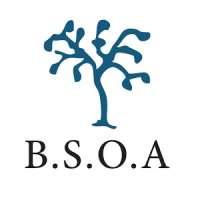 British Society of Orthopaedic Anaesthetists (BSOA)