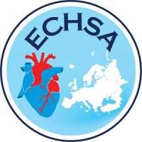 European Congenital Heart Surgeons Association (ECHSA)