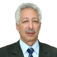 Ahmed El Serafi