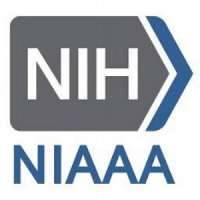 National Institute on Alcohol Abuse and Alcoholism (NIAAA)