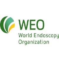 World Endoscopy Organization (WEO)