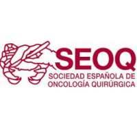 Spanish Society of Surgical Oncology / Sociedad Española de Oncología Quirúrgica (SEOQ)