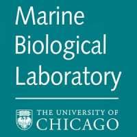 Marine Biological Laboratory (MBL) Conferences