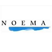 Noema Srl