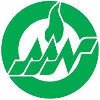 American Academy of Nursing (AAN)