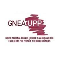 National Group for the Study and Advice on Pressure Ulcers and Chronic Wounds / Grupo Nacional Para El Estudio Y Asesoramiento en Ulceras Por Presion Y Heridas Cronicas (GNEAUPP)