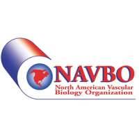 North American Vascular Biology Organization (NAVBO)