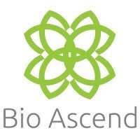 Bio Ascend LLC