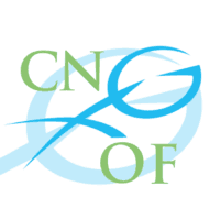 National College of French Gynecologists and Obstetricians / College National des Gynecologues et Obstetriciens Francais (CNGOF)