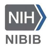 National Institute of Biomedical Imaging and Bioengineering (NIBIB)