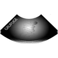 Portuguese Group of Ultrasound in Gastroenterology / Grupo Portugues De Ultrassons Em Gastrenterologia (GRUPEGE)