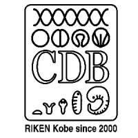 RIKEN Center for Developmental Biology (CDB)