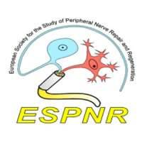 European Society for the Study of Peripheral Nerve Repair and Regeneration (ESPNR) 