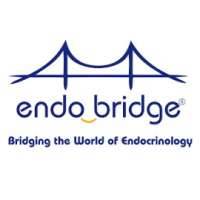 Endo Bridge