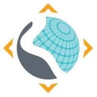 Global Foot & Ankle Community (GFAC)