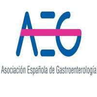 Spanish Association of Gastroenterology / Asociacion Espanola de Gastroenterologia (AEG)