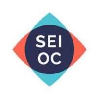 Spanish Society of Ocular Inflammation / Sociedad Española de Inflamación Ocular (SEIOC)