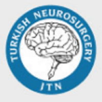 Turkish Neurosurgical Society (TNS)